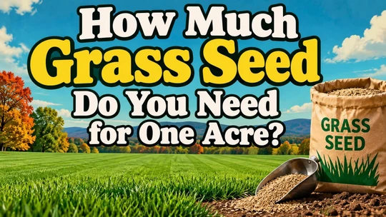 How Much Grass Seed Do You Need for One Acre?