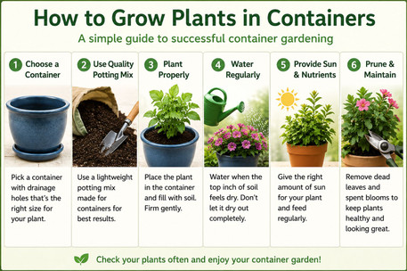 How to Grow Plants in Containers