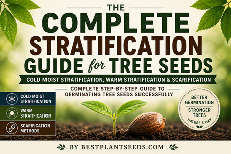 The Complete Stratification Guide for Tree Seeds