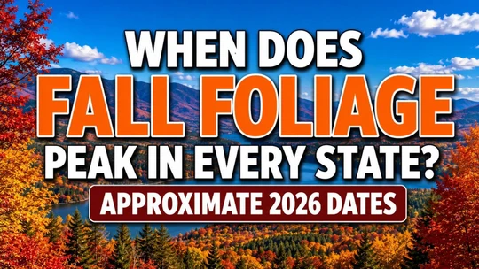 When Does Fall Foliage Peak in Every State? Approximate 2026 Dates