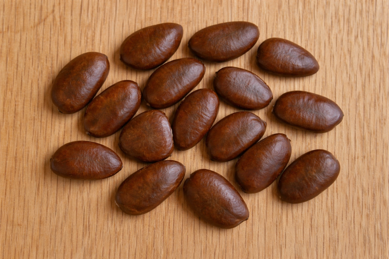 PawPaw Tree Seeds