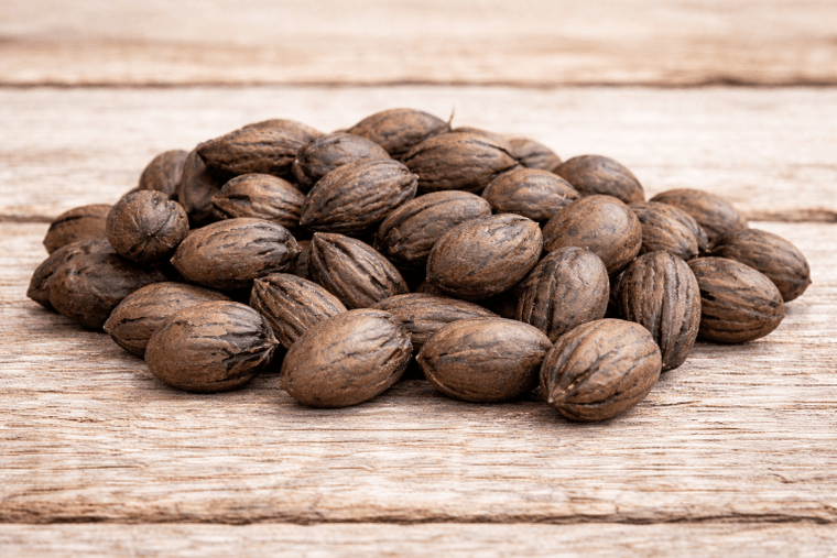 Pecan Tree Seeds