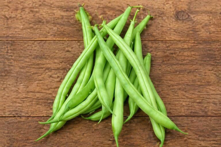 Provider Bush Bean Seeds