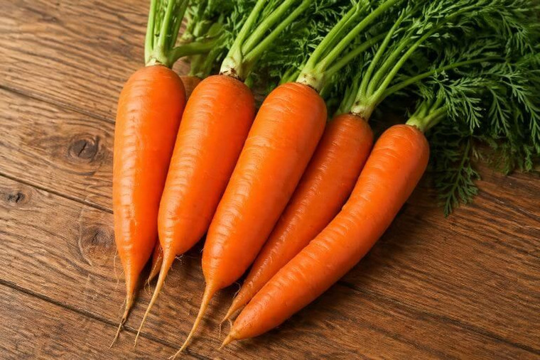 Danvers Half Cut Carrots
