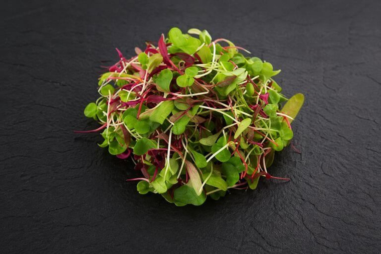 Spicy Microgreens Mix