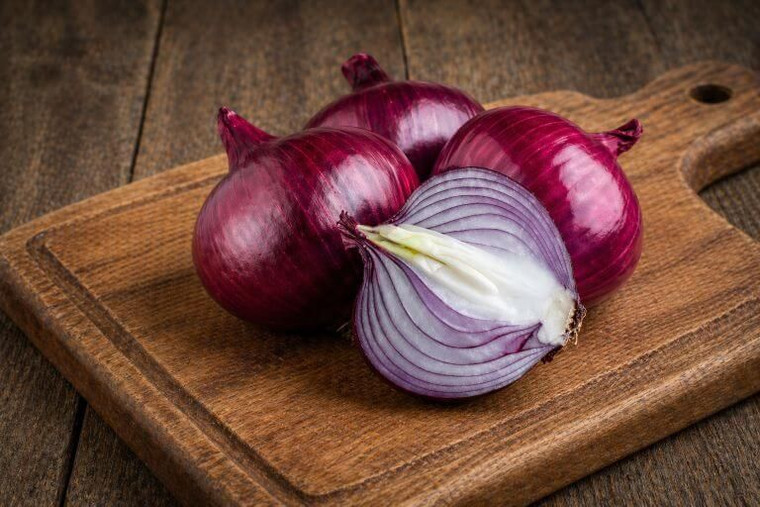 Danvers Red Onion Seeds