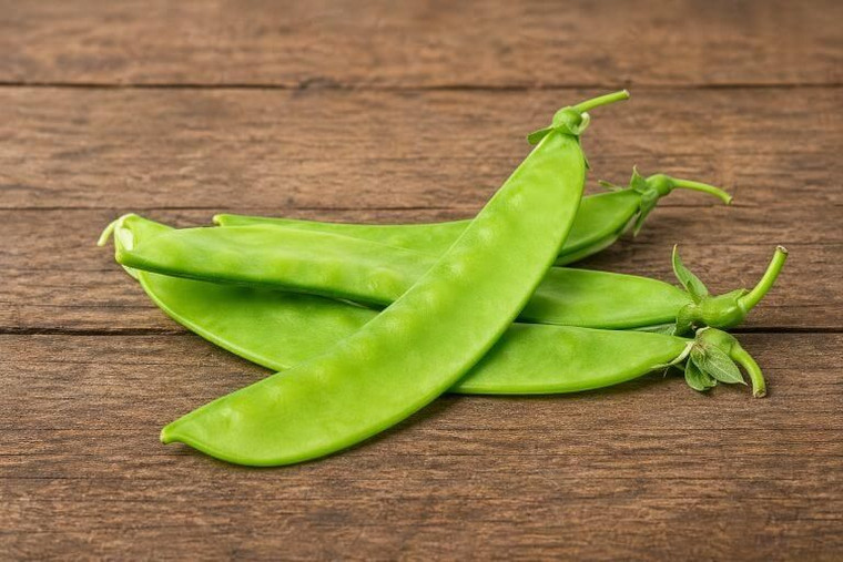 Oregon Sugar Pod Snow Peas