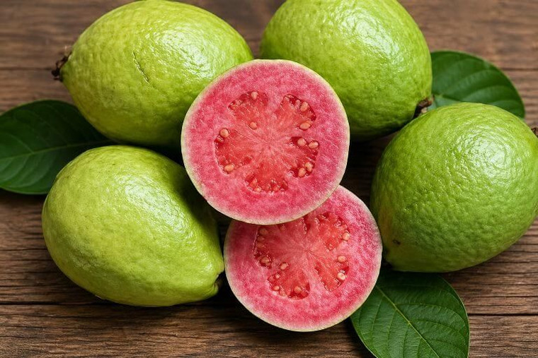 Common Guava