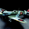 TAM60319 Supermarine Spitfire Mk.IXc  1/32