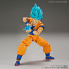 5055592 SUPER SAIYAN GOD SUPER SAIYAN SON GOKU (Special Color Ver.) "Dragon Ball Super", Bandai Figure-rise Standard
