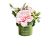 G7844 FLOWERS IN POT