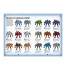 (D) 56-01-60 CODEX: T'AU EMPIRE (D) 56-01-60 CODEX: T'AU EMPIRE