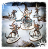Start Collecting Beastclaw Raiders