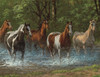 33-01547 Summer Creek 500 Piece Jigsaw Puzzle