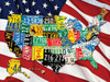 33-10666 State Plates 1000 Piece Jigsaw Puzzle