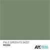 AKIRC232 Real Colors  Pale Green FS 34227 Acrylic Lacquer Paint 10ml Bottle