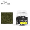 P048 Faded Moss Green Weathering Pigment 20ml Bottle