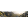 NEL0502 Angle 5/64 X 24"L