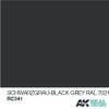 (D) AKIRC341   Real Colors Schwarzgrau-Black Grey RAL 7021 10ml