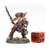 111-73 WARCRY: AGENTS OF CHAOS DICE