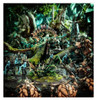 92-24 SYLVANETH: WARSONG REVENANT
