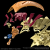 BAN2693470  Yu-Gi-Oh! Figure-rise Standard Amplified THE LEGENDARY EXODIA INCARNATE