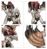 70-16  VANGUARD: SOULBLIGHT GRAVELORDS  AOS 70-16  VANGUARD: SOULBLIGHT GRAVELORDS  AOS