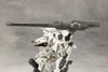 4934054056019 ROSENTHAL CR-HOGIRE NOBLESSE OBLIGE FULL PACKAGE Kotobukiya