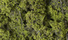 WOOF1132  Fine Leaf Foliage  Lt Green/75ci