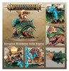 70-72 Start Collecting! Skinks