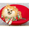 SBP33-01704 JINGLE BELLS 500pc Limited Release