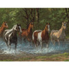 SBP33-36040 Summer Creek 36 Piece Jigsaw Puzzle