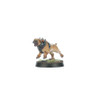 GW86-90 CITIES OF SIGMAR: VEN DENST'S HOUNDS (AOS)