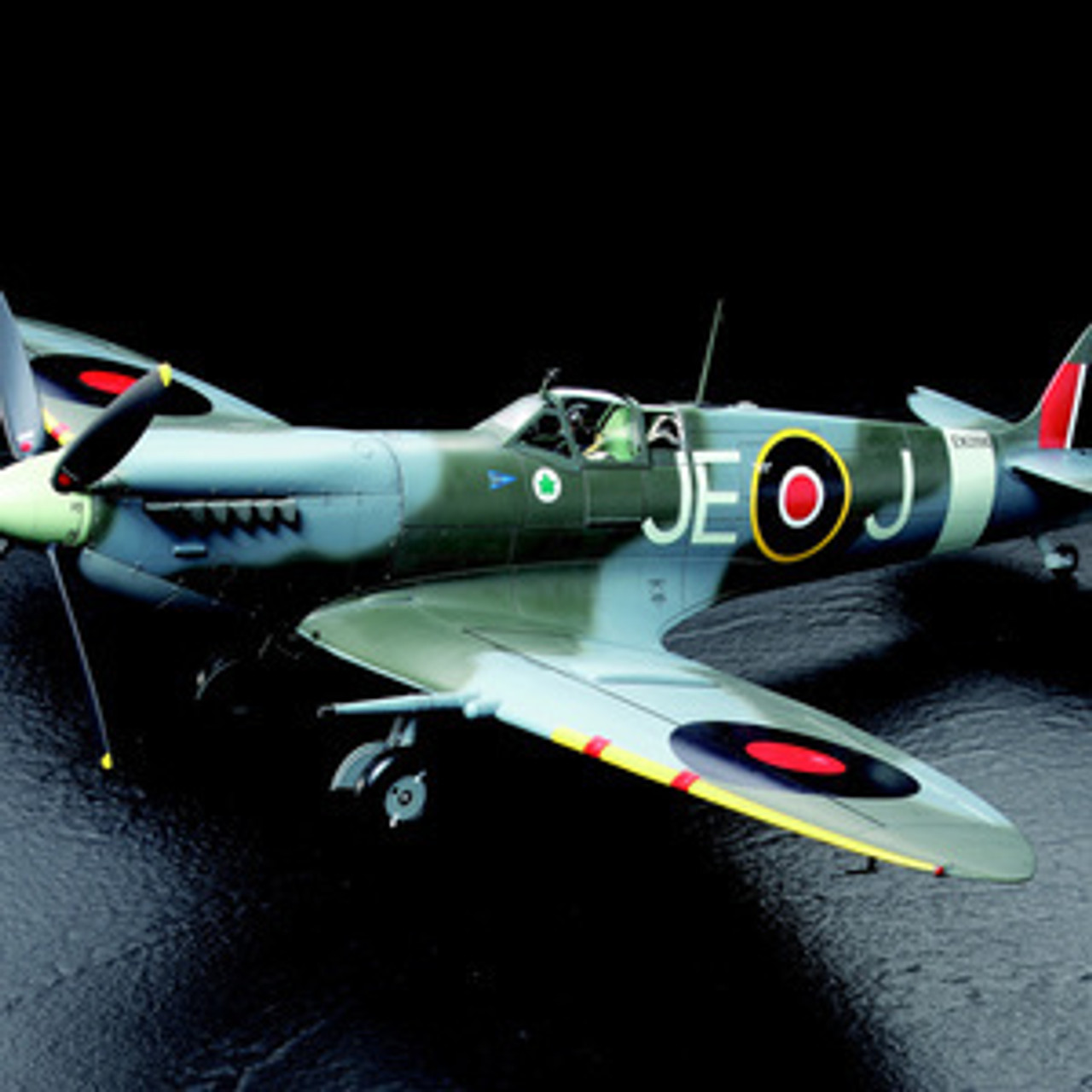 TAM60319 Supermarine Spitfire Mk.IXc  1/32