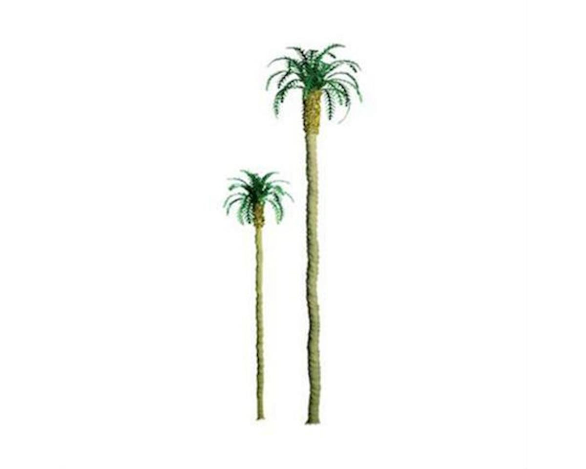 (SO) Pro Tree  Palm 2  6