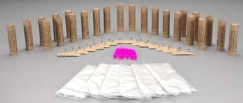 1789 C6-5 Engine Bulk Pack (24) HAZ