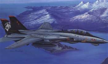 80368 F-14D Super Tomcat 1/48 HobbyBoss
