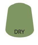 23-25 DRY: NURGLING GREEN