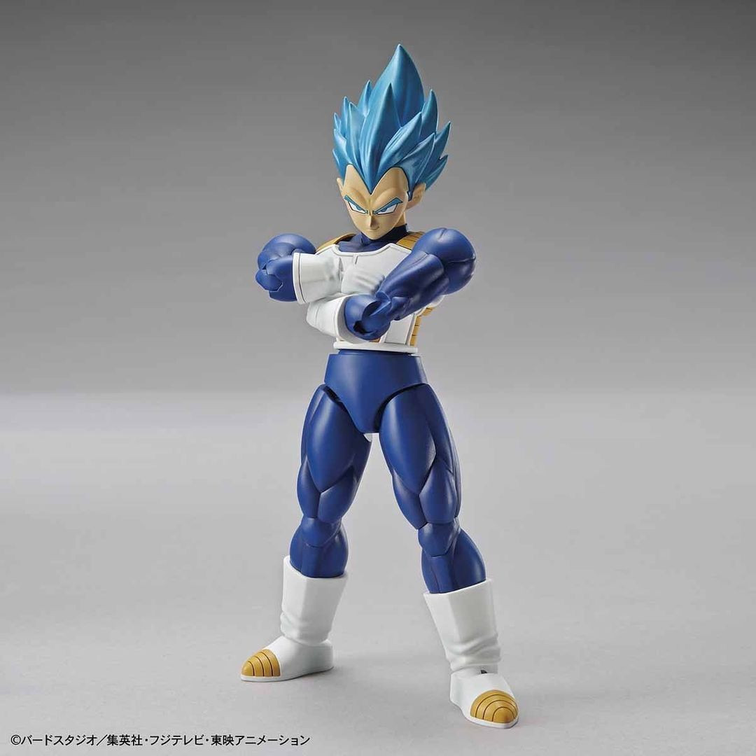 BAN2484295  Super Saiyan God Super Saiyan Vegeta (Renewal Ver) "Dragon Ball Super", Bandai Figure-Rise Standard