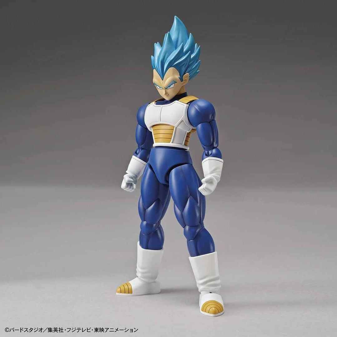 BAN2484295  Super Saiyan God Super Saiyan Vegeta (Renewal Ver) "Dragon Ball Super", Bandai Figure-Rise Standard