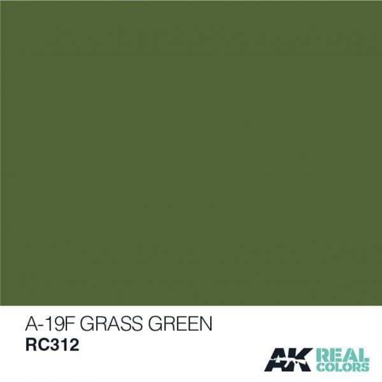 (D) AKIRC312   Real Colors A-19F Grass Green 10ml