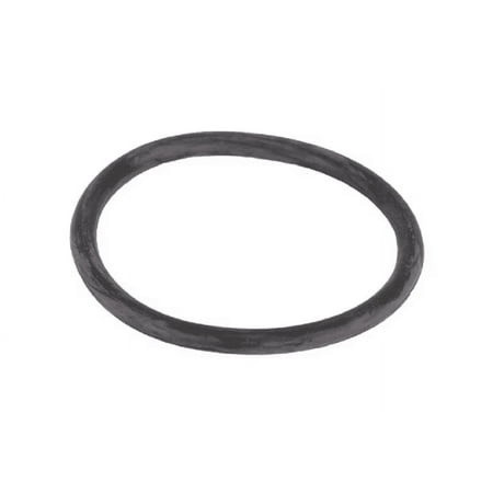 IWATA-N1502 IWATA Valve Body O-Ring
