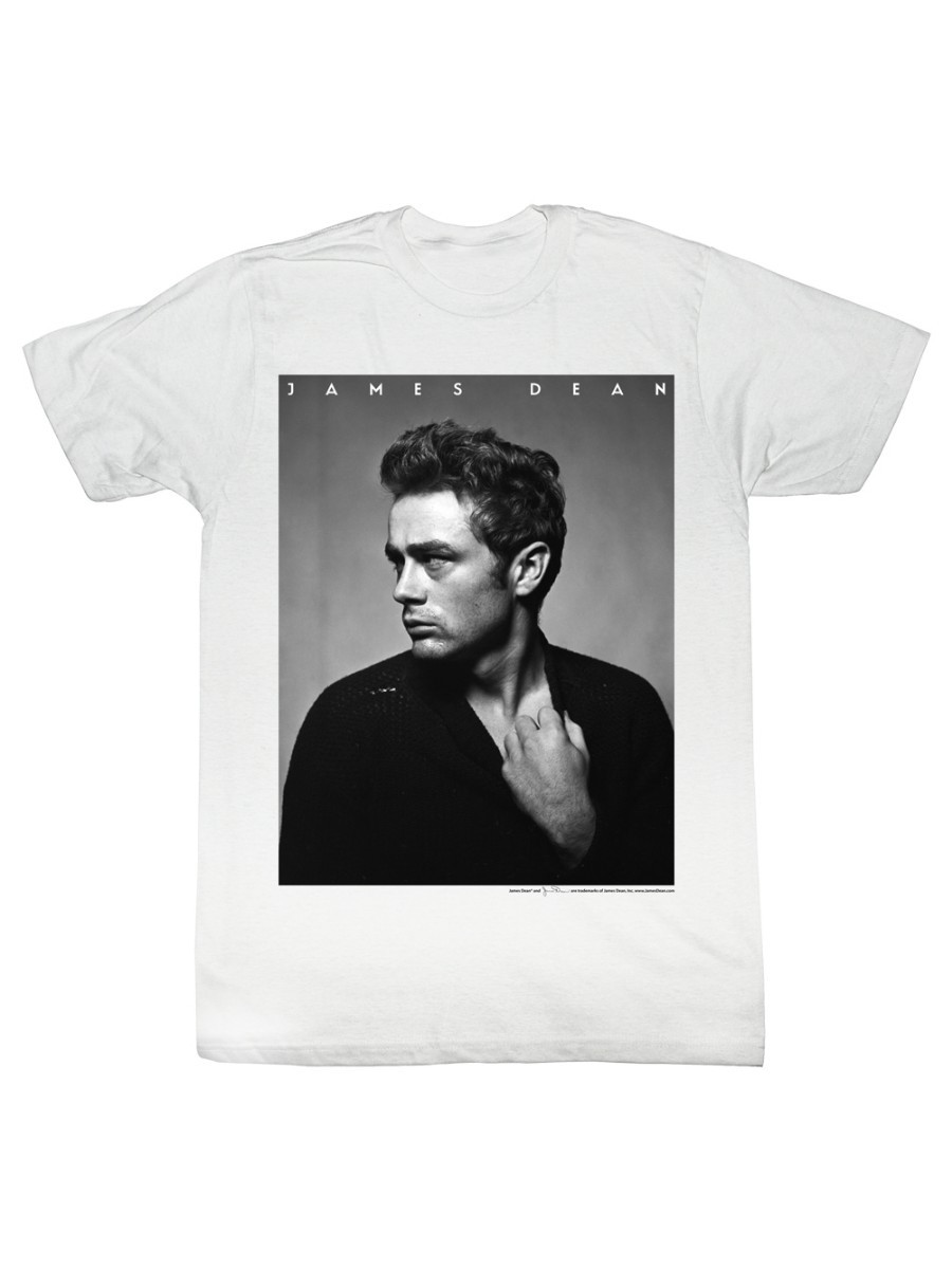 WOOTT4553 Cleaning & Finishing Pads