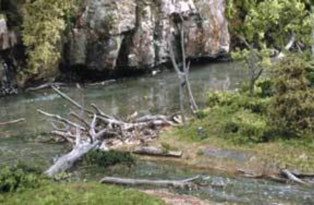 WOOS30  Deadfall  .5oz