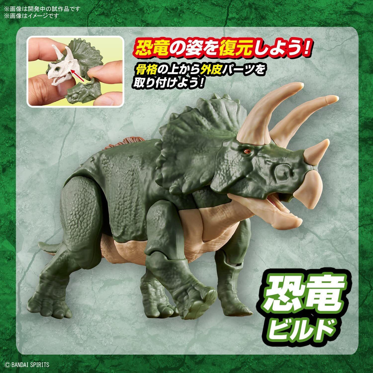 BAN2639637 Bandai New Dinosaur Triceratops Plastic Model Kit (Tentative)