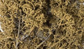 WOOF1134 Fine Leaf Foliage  Dead/75ci