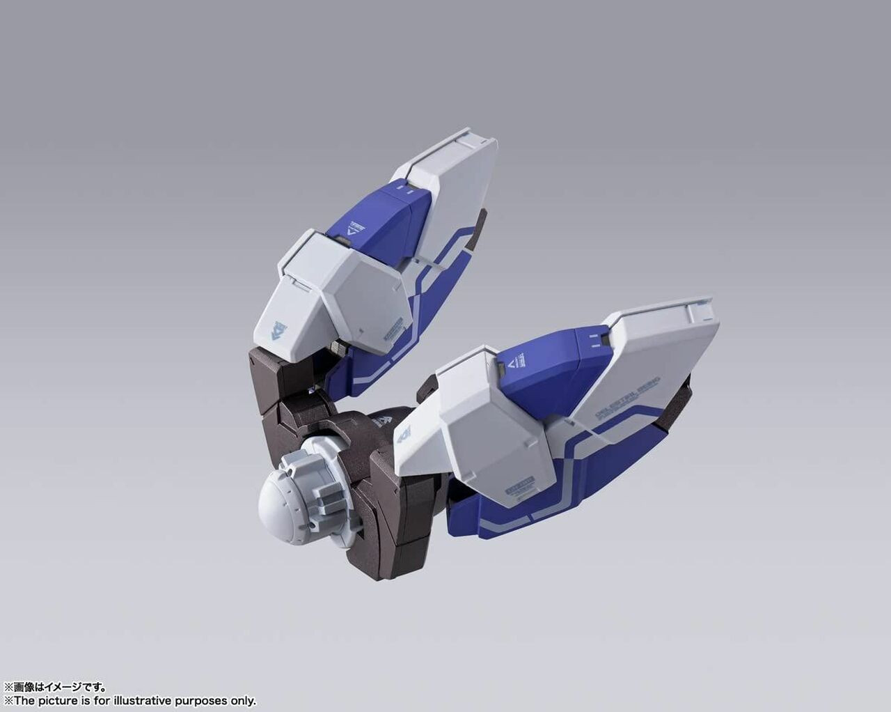 BAS63482 Bandai Spirits METAL BUILD Gundam Devise Exia "Mobile Suit Gundam 00 Revealed Chronicle"