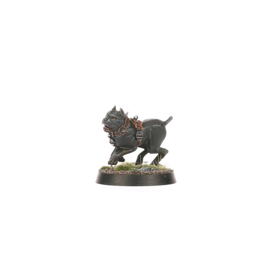 GW86-90 CITIES OF SIGMAR: VEN DENST'S HOUNDS (AOS)