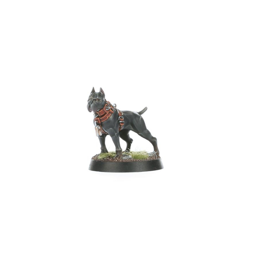 GW86-90 CITIES OF SIGMAR: VEN DENST'S HOUNDS (AOS)