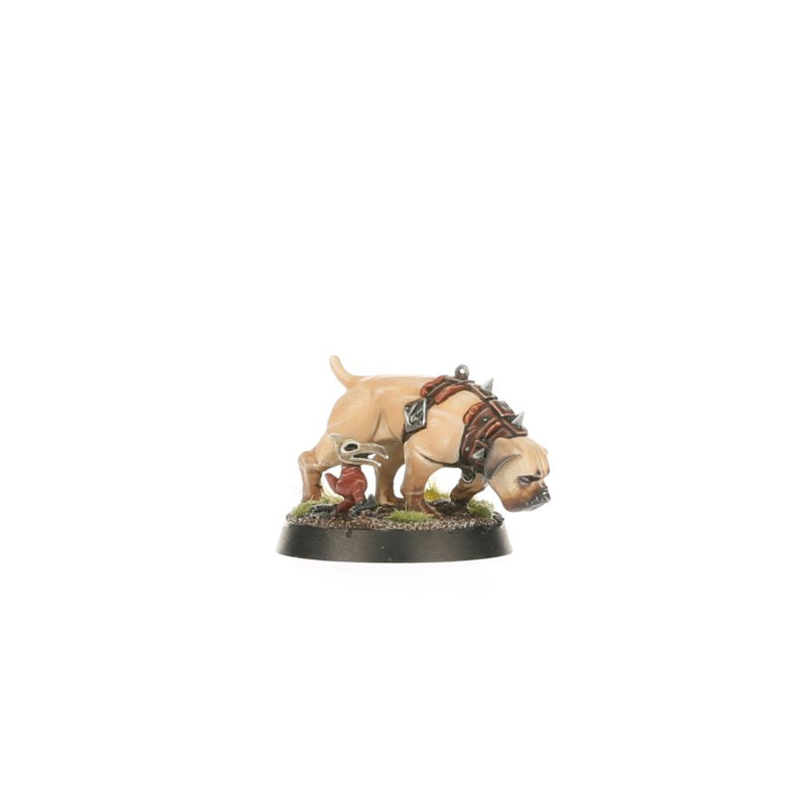 GW86-90 CITIES OF SIGMAR: VEN DENST'S HOUNDS (AOS)
